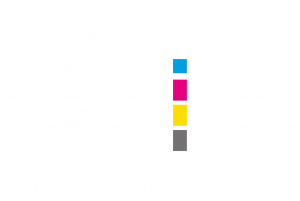 Logo von Little Genius Mediengestaltung